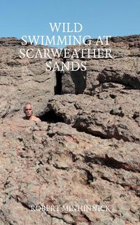 Cover image for Wild Swimming at Scarweather Sands