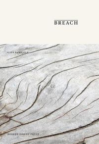 Cover image for Breach