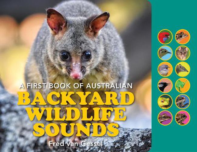 A First Book of Backyard Wildlife Sounds: With speaker and buttons