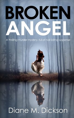 Cover image for Broken Angel