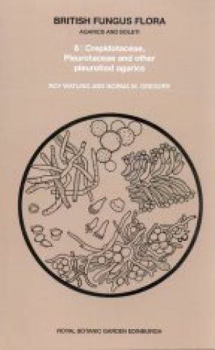 Cover image for British Fungus Flora: Agarics and Boleti 6