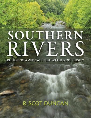 Cover image for Southern Rivers