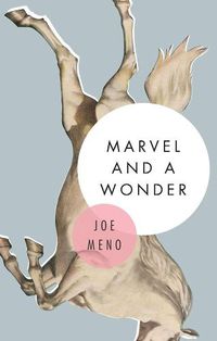 Cover image for Marvel And A Wonder: A Novel