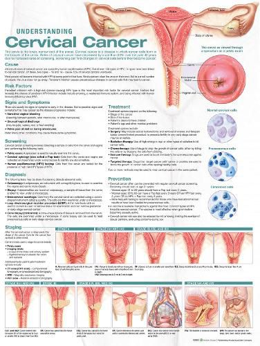 Cover image for Understanding Cervical Cancer Anatomical Chart