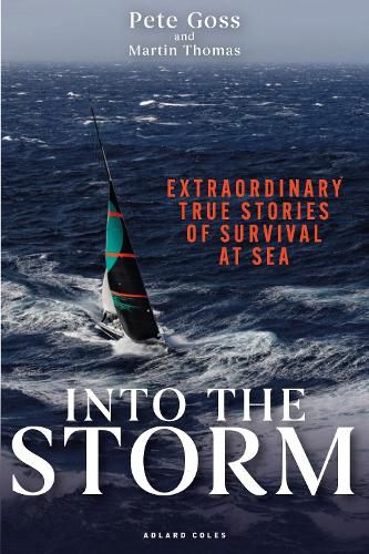 Cover image for Into the Storm