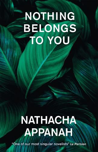 Cover image for Nothing Belongs to You