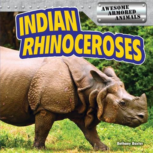 Cover image for Indian Rhinoceroses