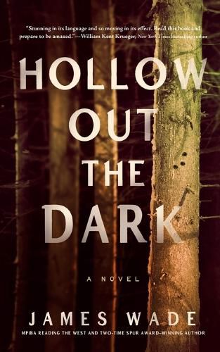 Cover image for Hollow Out the Dark