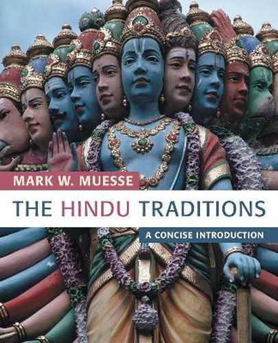 Cover image for The Hindu Traditions: A Concise Introduction