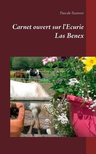 Cover image for Carnet ouvert sur l'Ecurie Las Benex