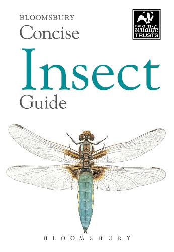 Cover image for Concise Insect Guide