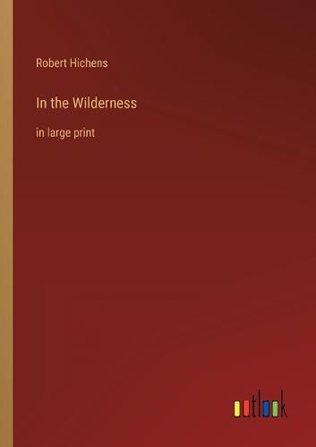 Cover image for In the Wilderness