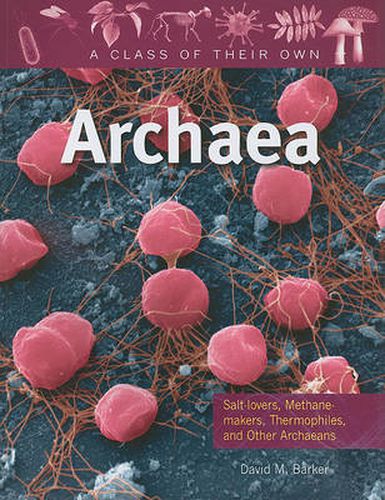 Cover image for Archaea