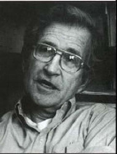 Noam Chomsky: Critical Assessments
