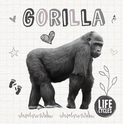 Cover image for Gorilla