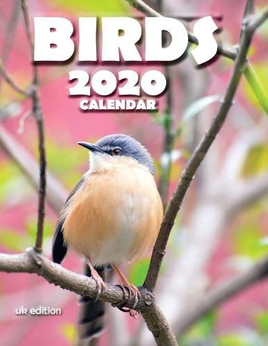 Cover image for Birds 2020 Calendar (UK Edition)