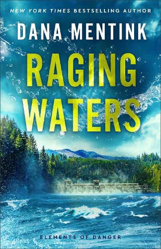 Cover image for Raging Waters