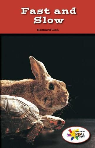 Cover image for Fast and Slow