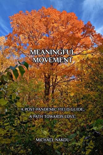 Cover image for Meaningful Movement