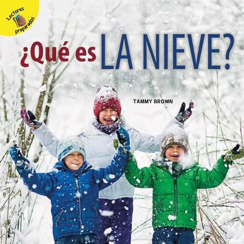 Cover image for ?Que Es La Nieve?: What Is Snow?