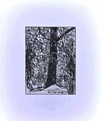 Cover image for Woods