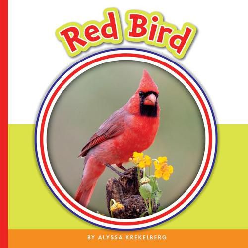 Red Bird