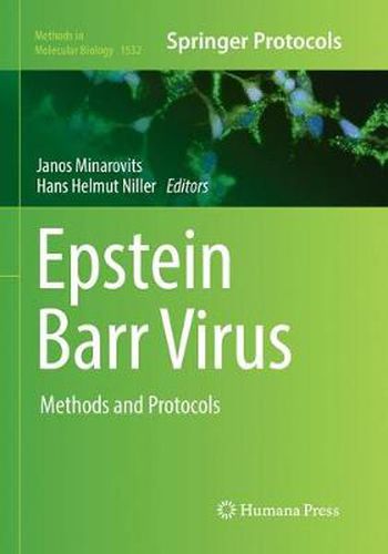 Cover image for Epstein Barr Virus: Methods and Protocols