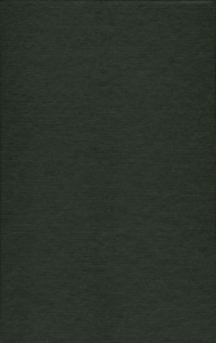 Cover image for Structuring Poverty in the Windy City: Autonomy, Virtue, and Isolation in Post-Fire Chicago