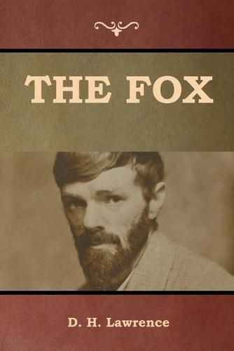 Cover image for The Fox