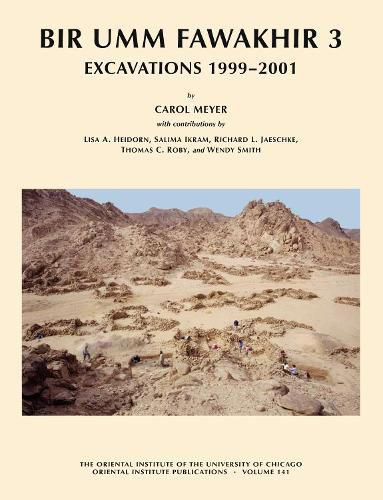 Cover image for Bir Umm Fawakhir 3: Excavations 1999-2001