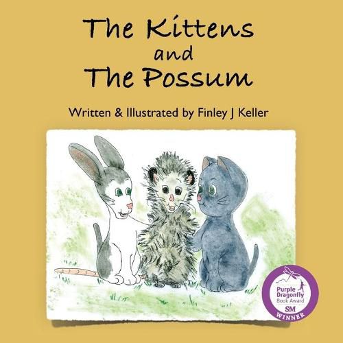 Cover image for The Kittens and The Possum