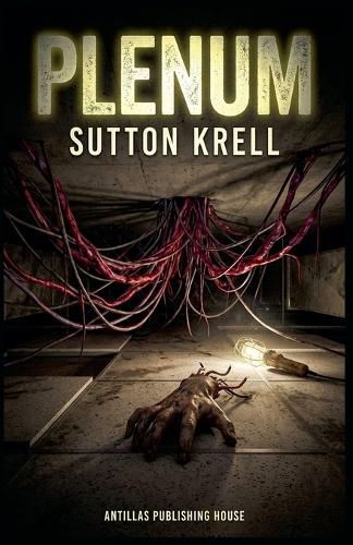 Cover image for Plenum