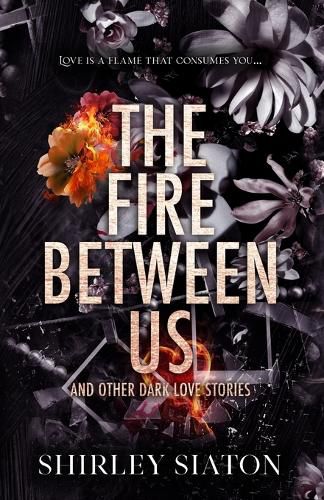 Cover image for The Fire Between Us (The Discreet Edition)