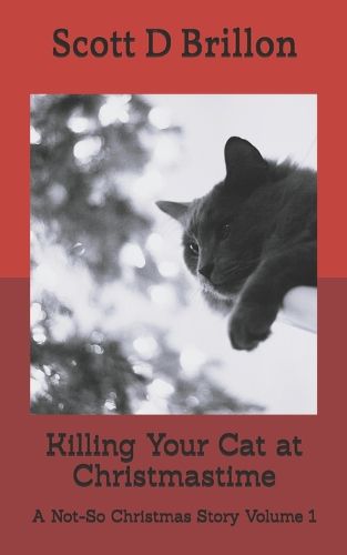 Cover image for Killing Your Cat at Christmastime