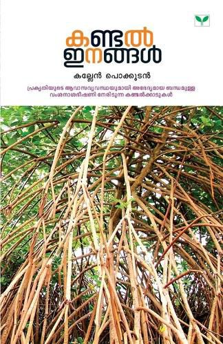 Cover image for kandal inangal
