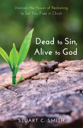 Cover image for Dead to Sin, Alive to God: Discover the Power of Reckoning to Set You Free in Christ