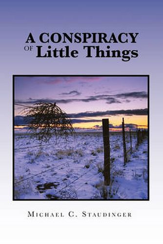 Cover image for A Conspiracy of Little Things