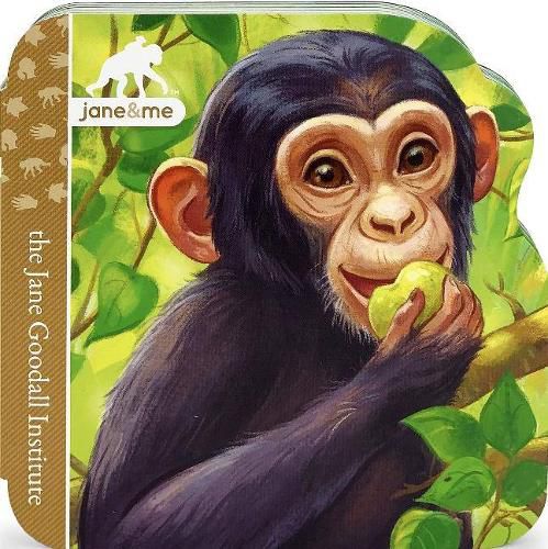 Cover image for Chimpanzee