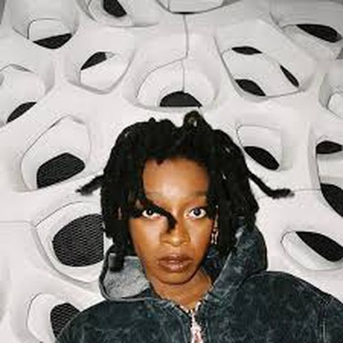 Cover image for No Thank You (Clear Vinyl)