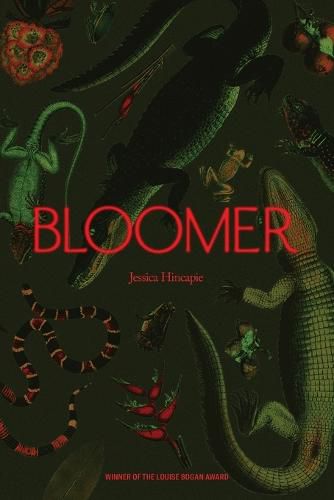 Cover image for Bloomer