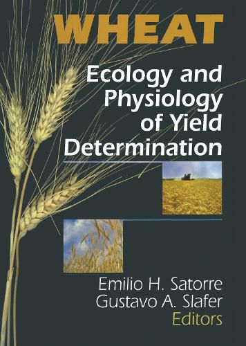 Cover image for Wheat: Ecology and Physiology of Yield Determination