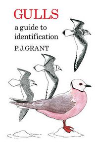 Cover image for Gulls: A Guide to Identification. 2nd Edition