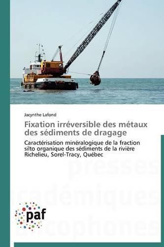 Cover image for Fixation Irreversible Des Metaux Des Sediments de Dragage