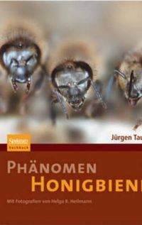 Cover image for Phanomen Honigbiene