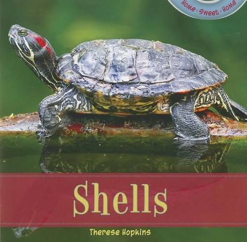 Cover image for Shells