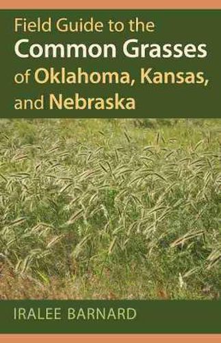 Cover image for Field Guide to the Common Grasses of Oklahoma, Kansas, and Nebraska