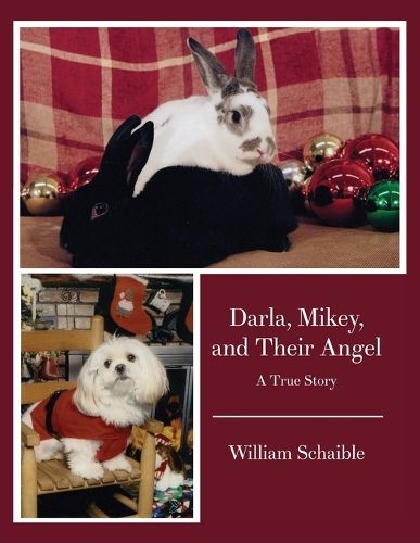 Cover image for Darla, Mikey, and Their Angel
