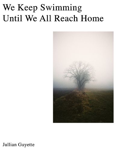 Cover image for We Keep Swimming, Until We All Reach Home