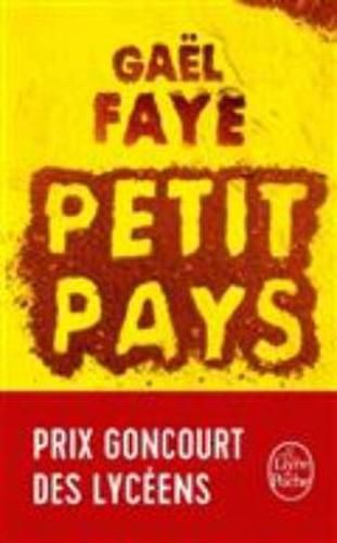 Cover image for Petit pays