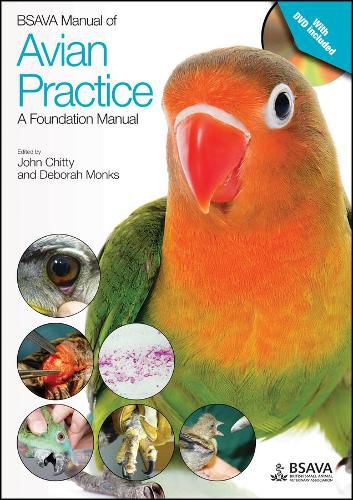 Cover image for BSAVA Manual of Avian Practice: A Foundation Manual